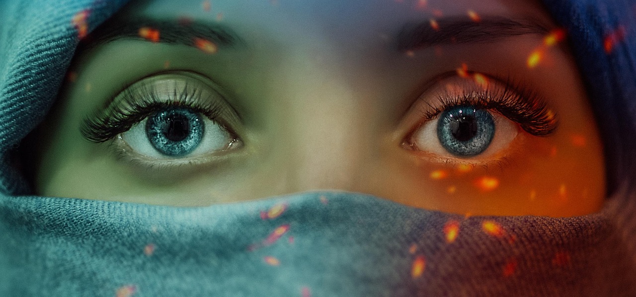 河南住房和城乡建设厅网站:政府官网功能与信息查询指南